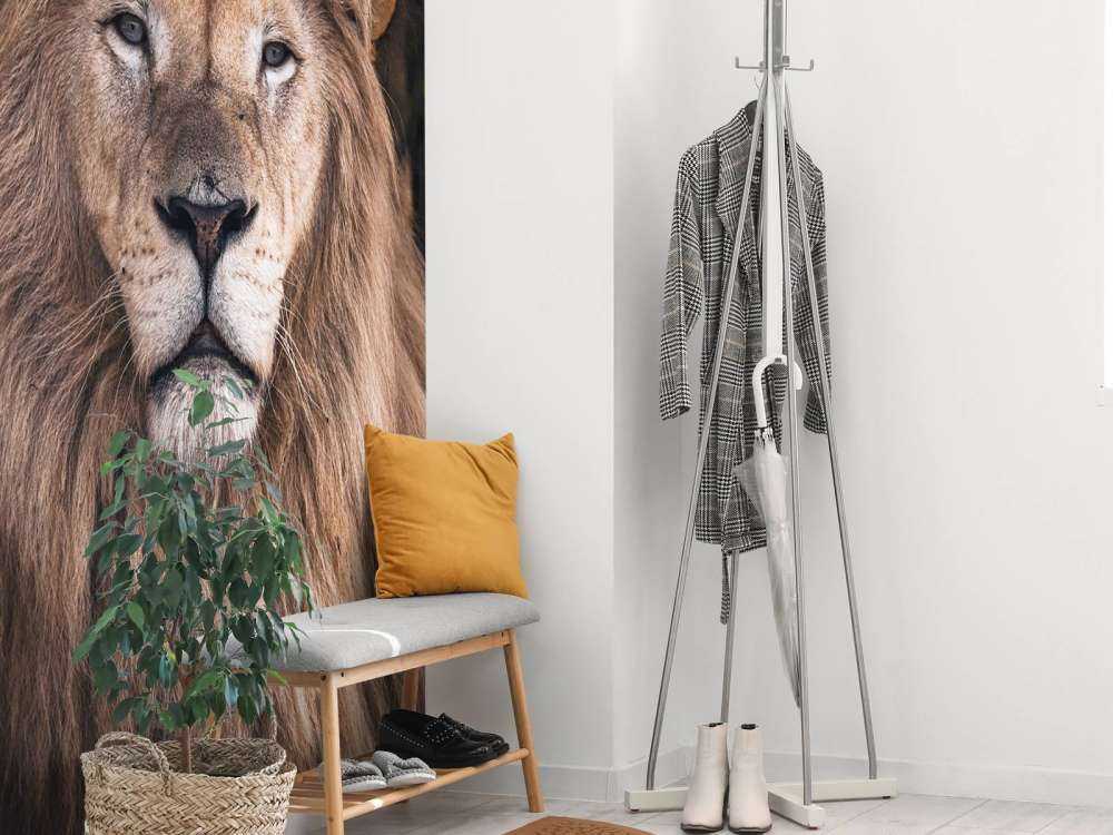 Porträt eines Löwen