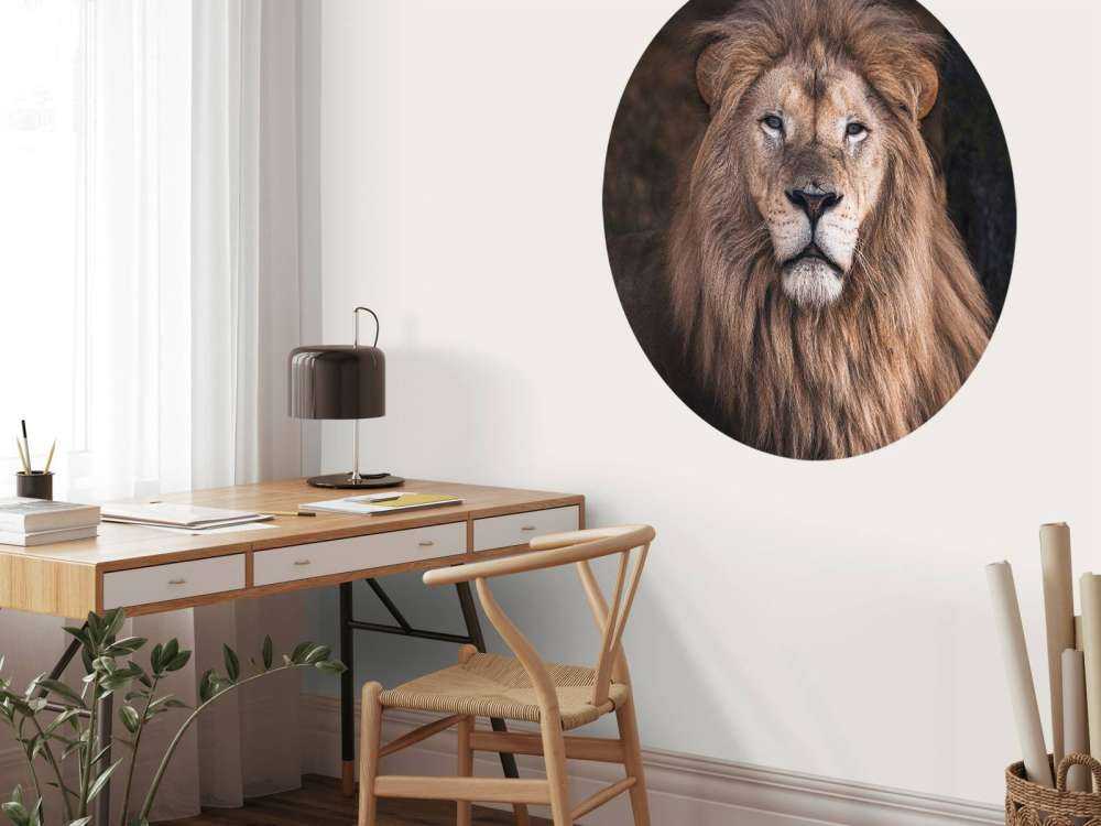 Porträt eines Löwen