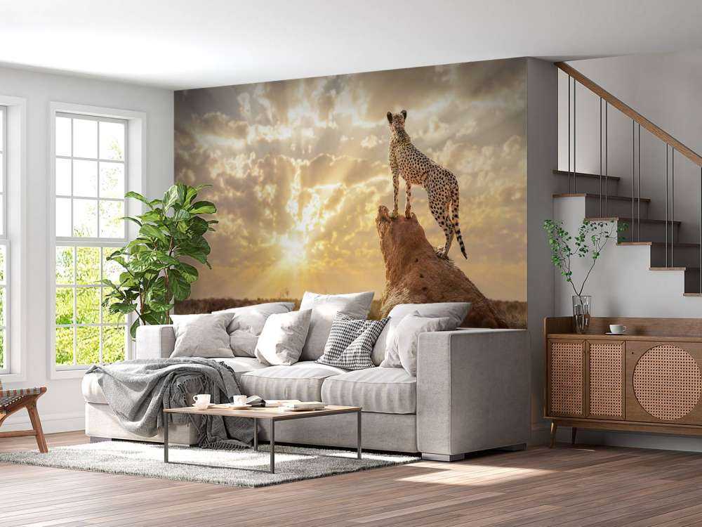 Sundown Cheetah