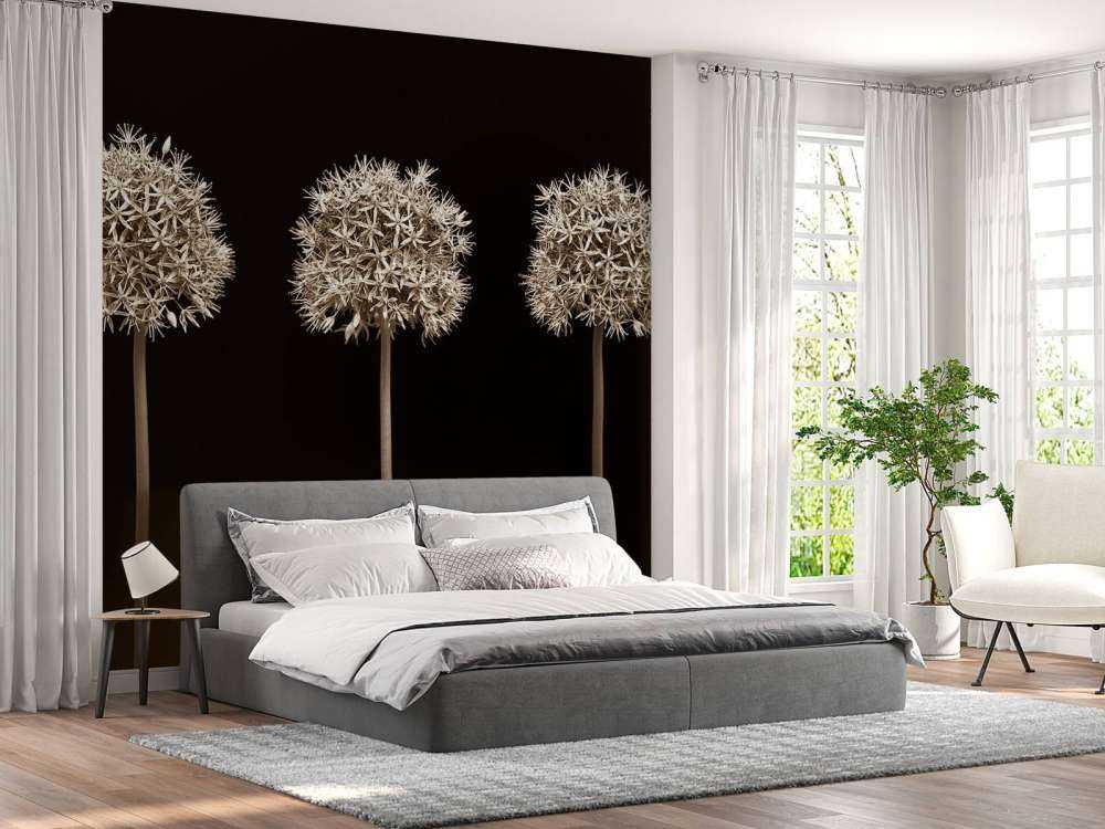 Drei Alliumblüten in einer Reihe