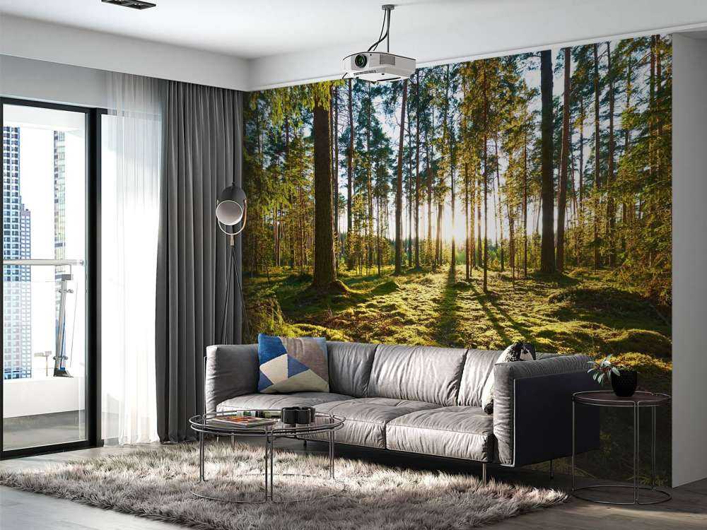 Kiefernwald