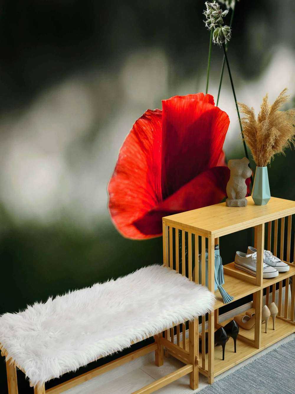 Roter Mohn mit Gras