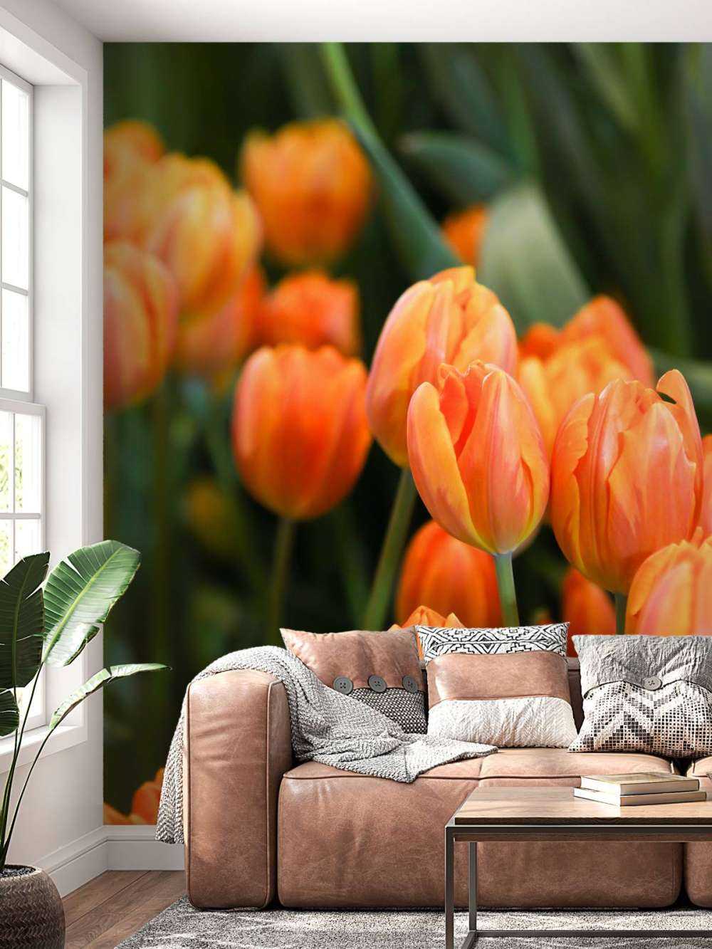Orangefarbene Tulpen