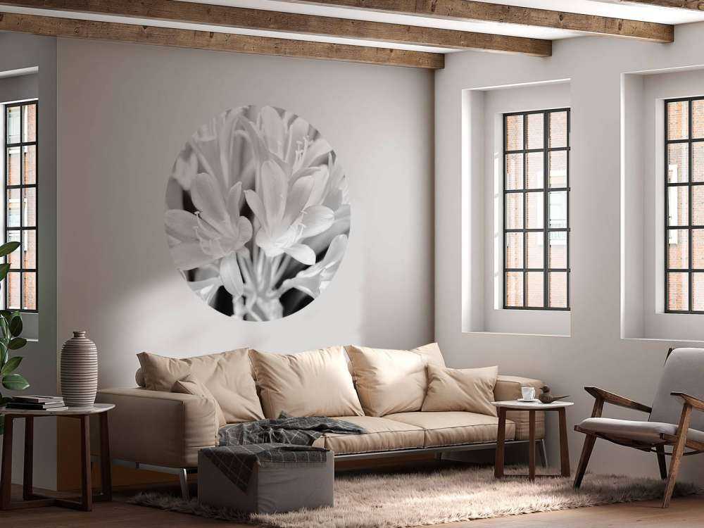 Blühende Blumen, schwarz und weiß