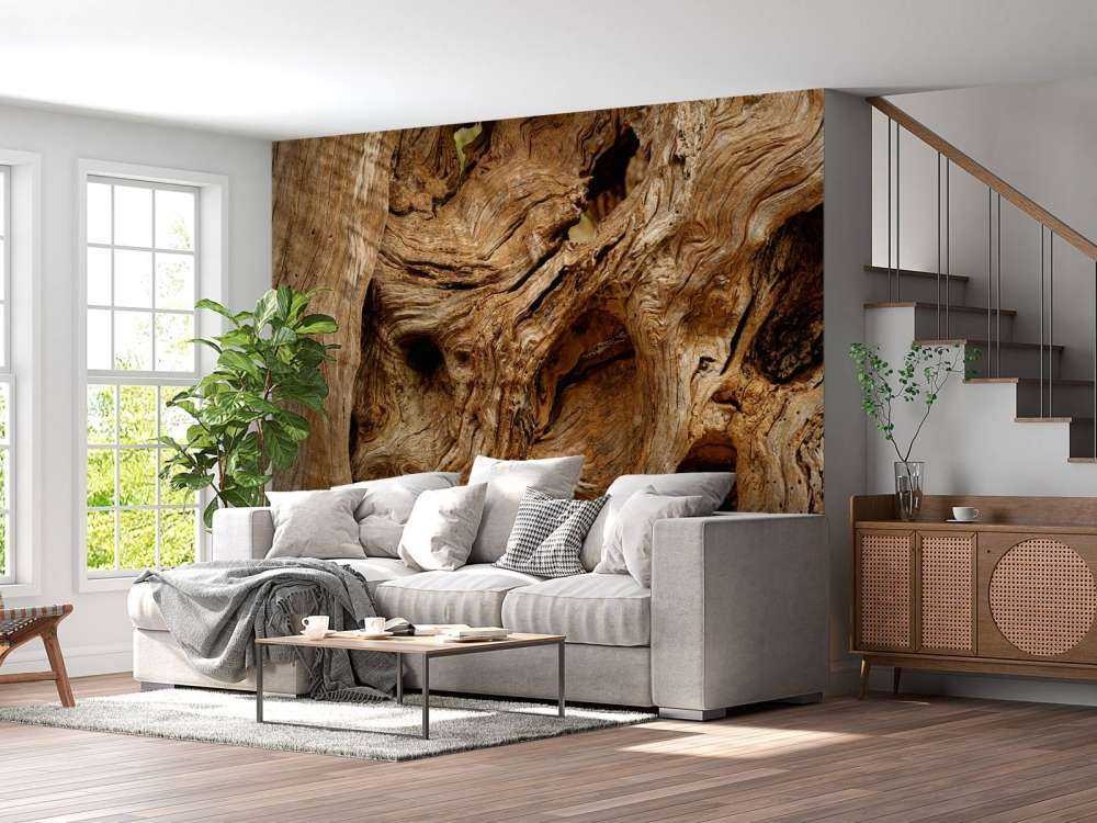 Nahaufnahme alter Baum