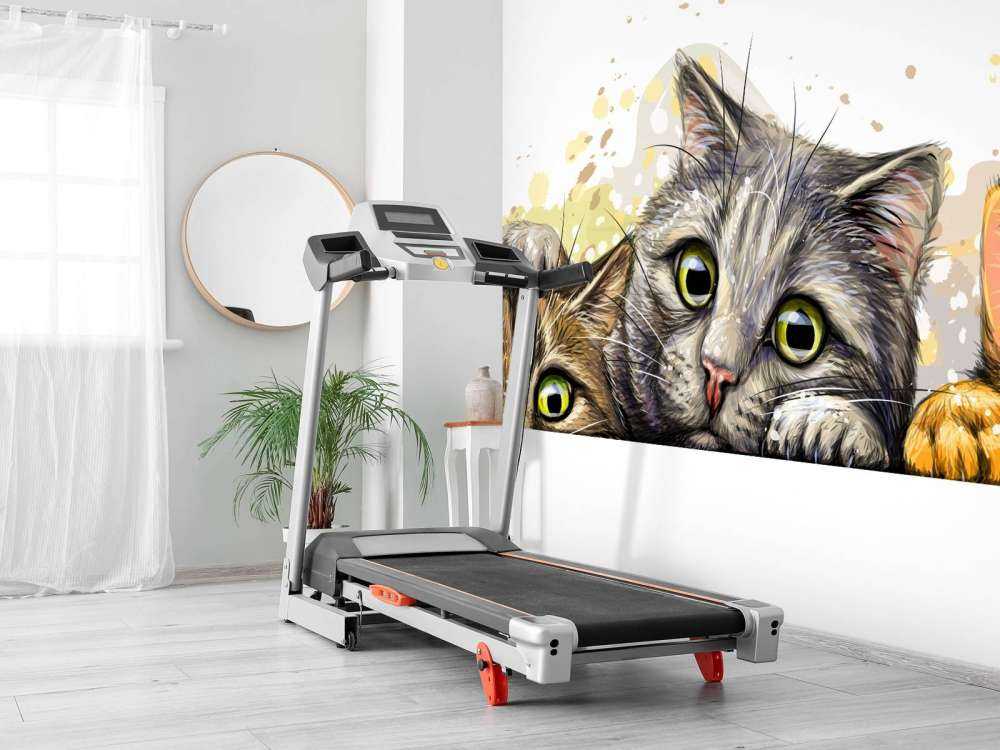 Katzen Zeichnung