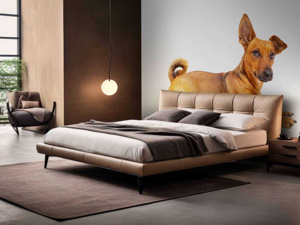 Süßer Hund