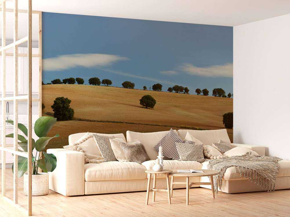 Bäume in spanischer Landschaft