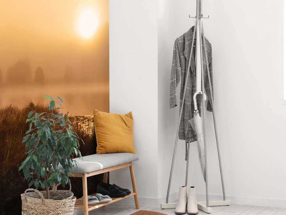 The incredible light of an October morning