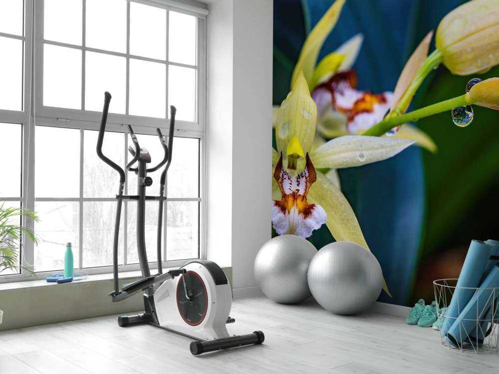 Wilde gelbe Orchidee