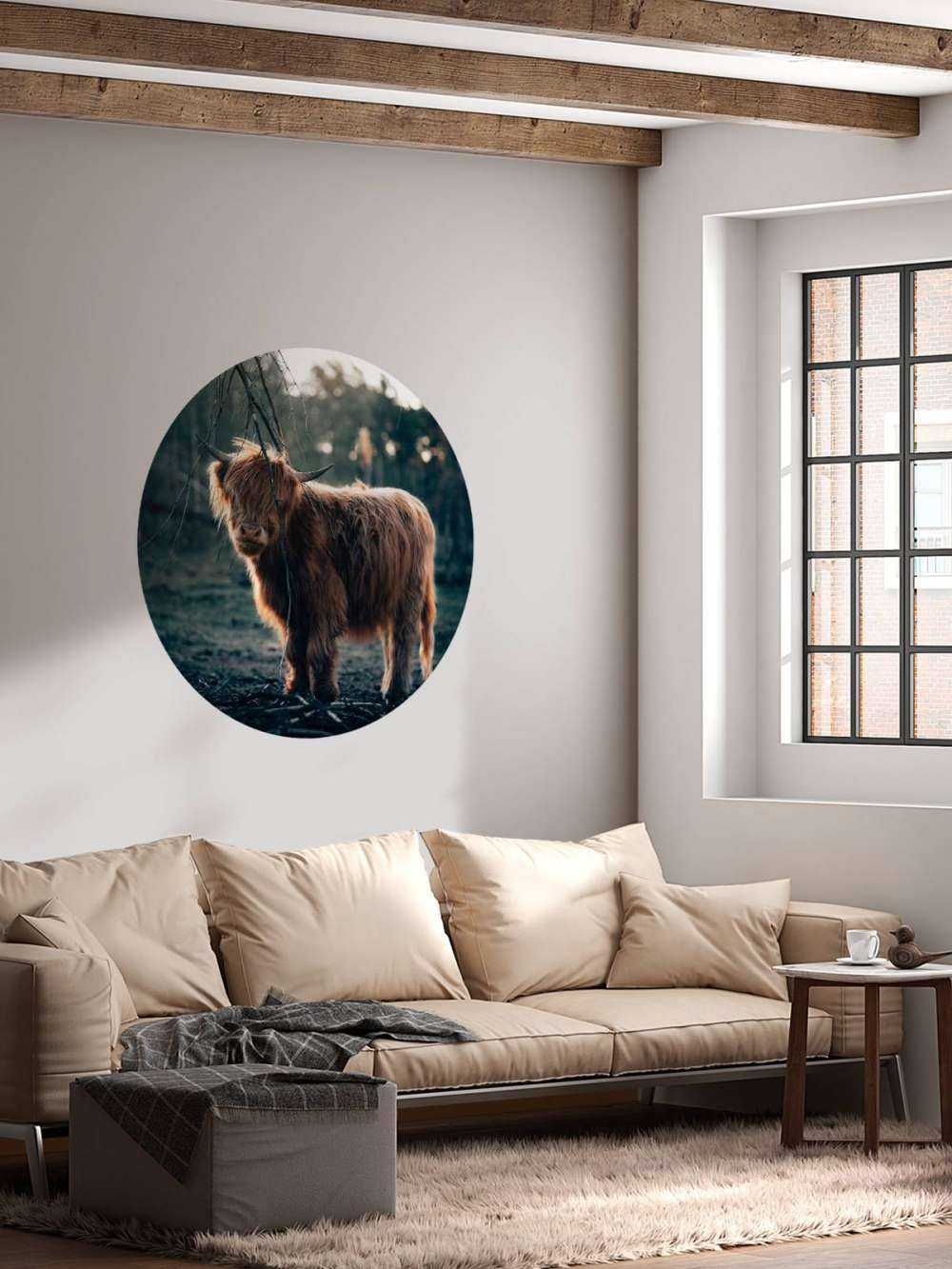Schottischer Highlander am Waldrand