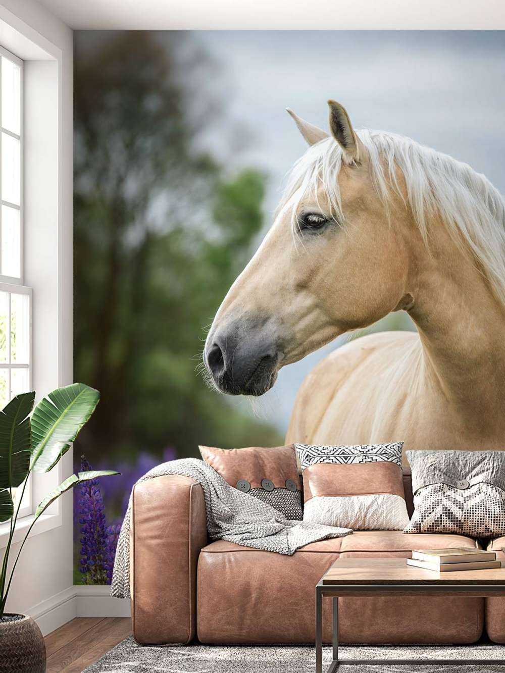 Pferd zwischen den Schmetterlingsblüten