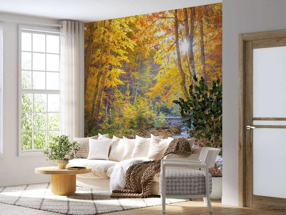 Herbst im wilden Wald