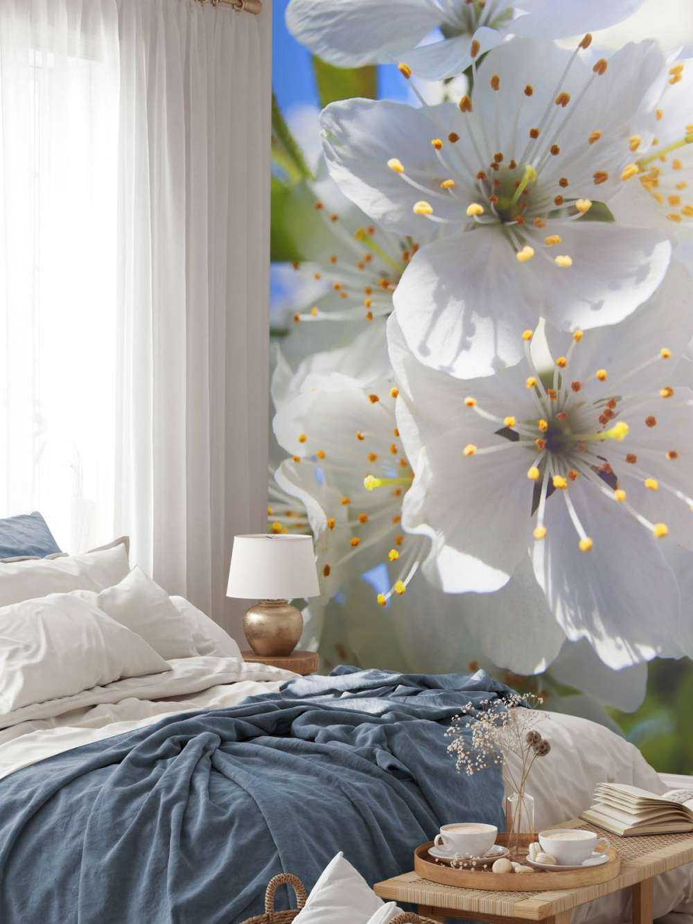 Nahaufnahme weiße Blüten