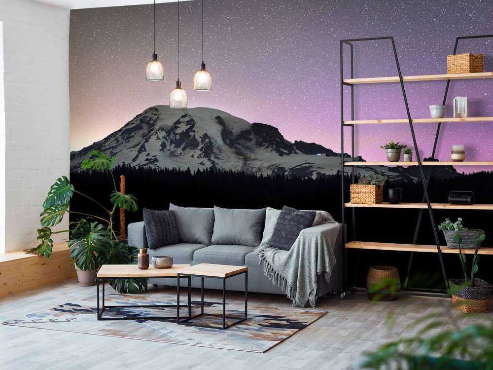 Mount Rainier mit Nordlicht