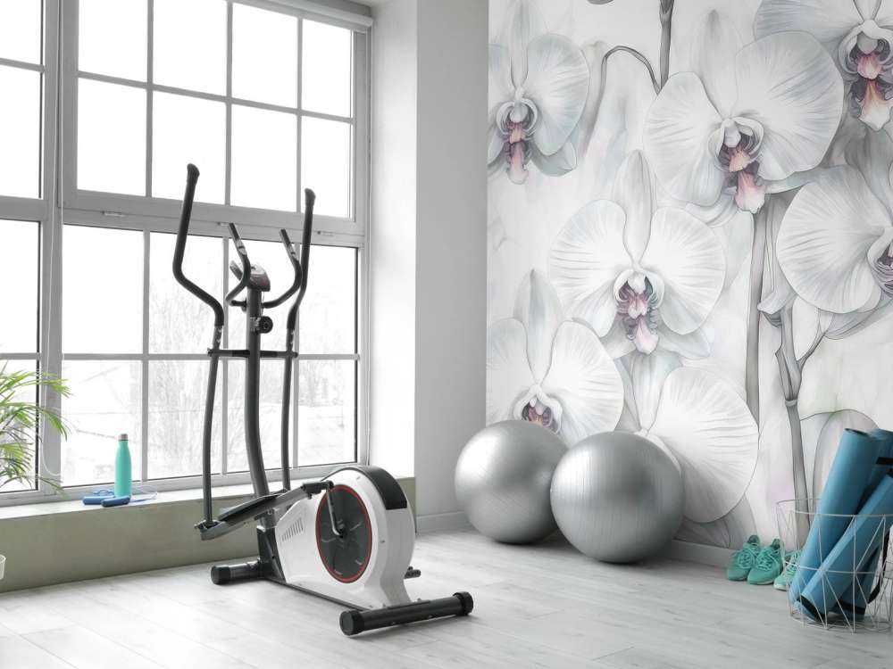 Orchideenparadies Grün