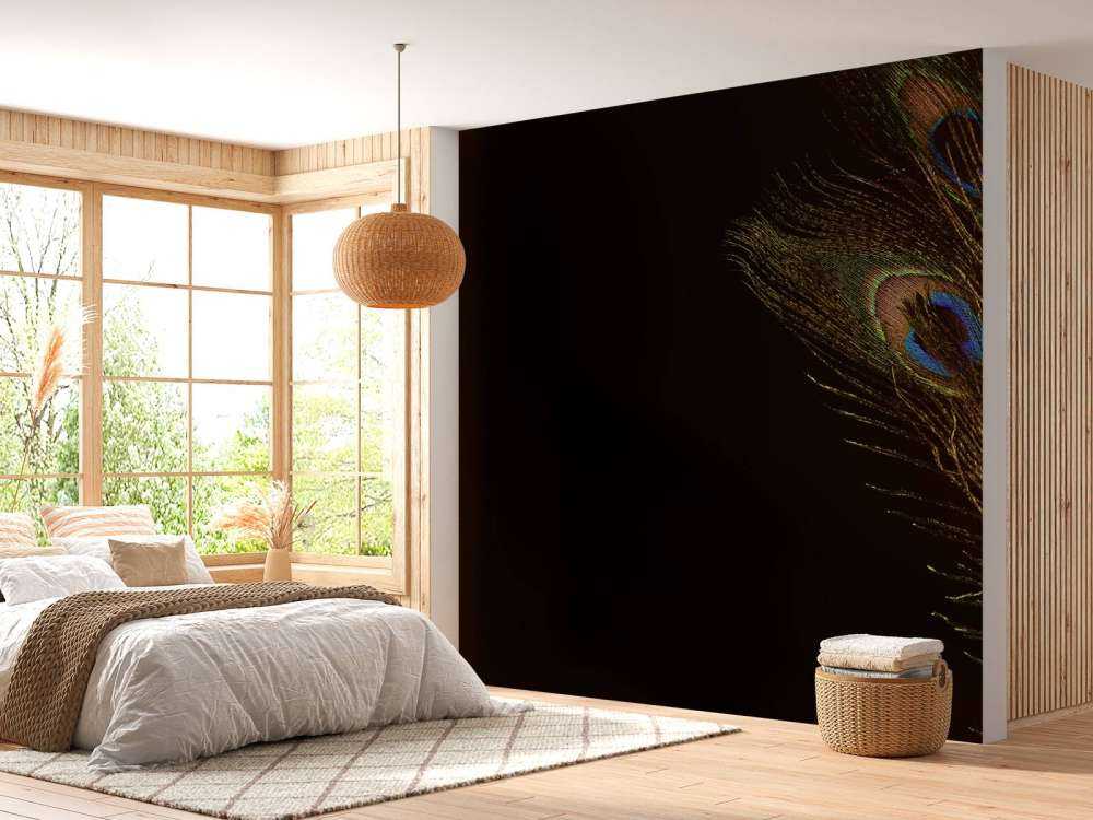 Bunte Pfauenfeder