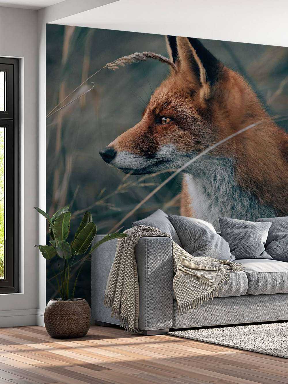 Fuchs in den Dünen