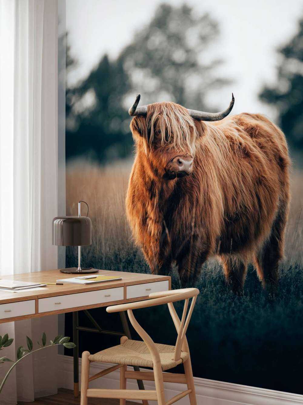 Porträt von Highlandern
