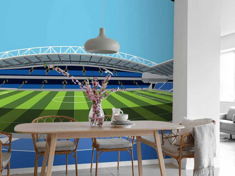 American Express Gemeinschaftsstadion - Brighton & Hove Albion