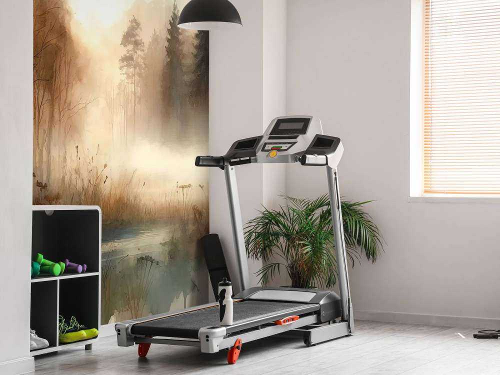 Nebeliger Waldflucht