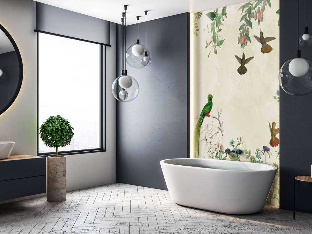 Felder bunter Vögel