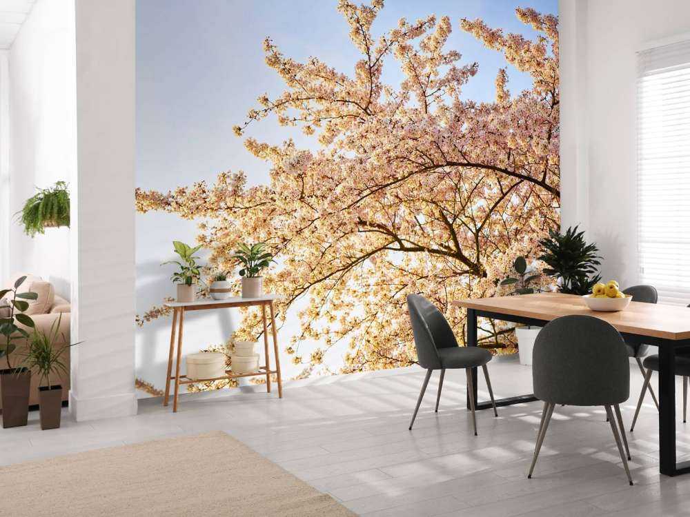 Blütenzweig in Blüte