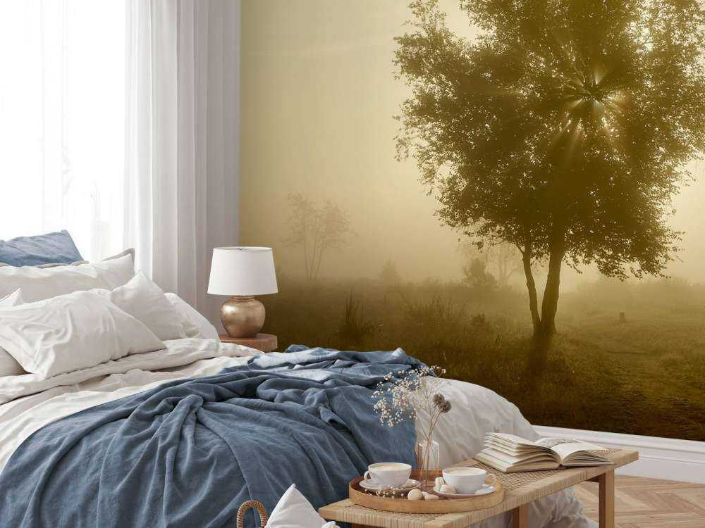 Goldener Sonnenaufgang