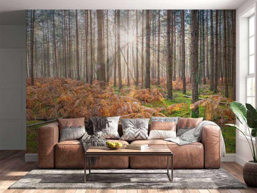 Wald bei Sonnenaufgang