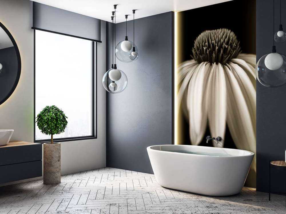 Zapfenblume Nahaufnahme