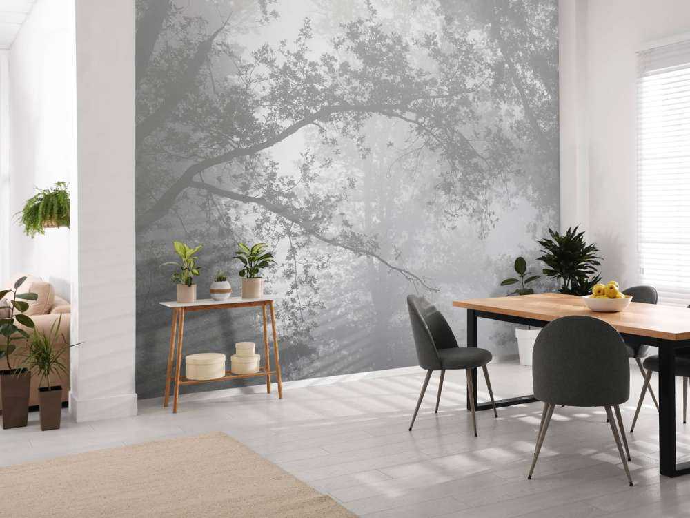 Wunderschöner Wald im Nebel