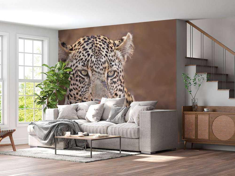 Leopard Porträt