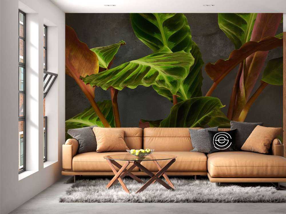 Pflanze mit schönen grünen Blättern