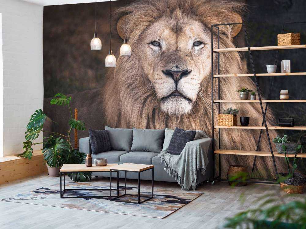 Porträt eines Löwen