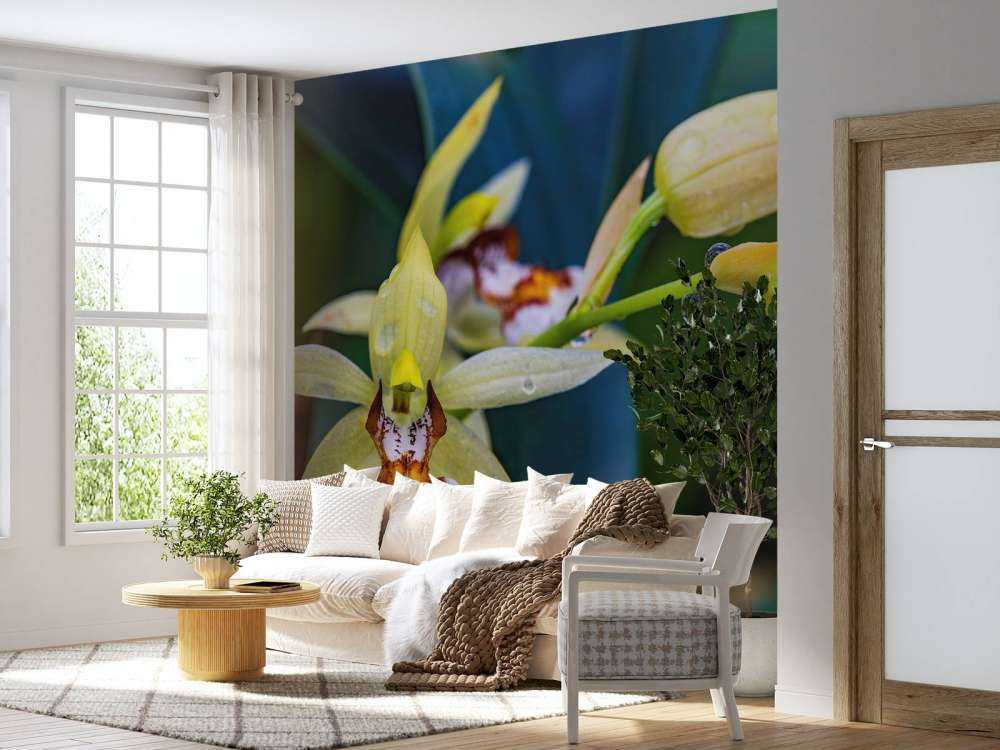 Wilde gelbe Orchidee