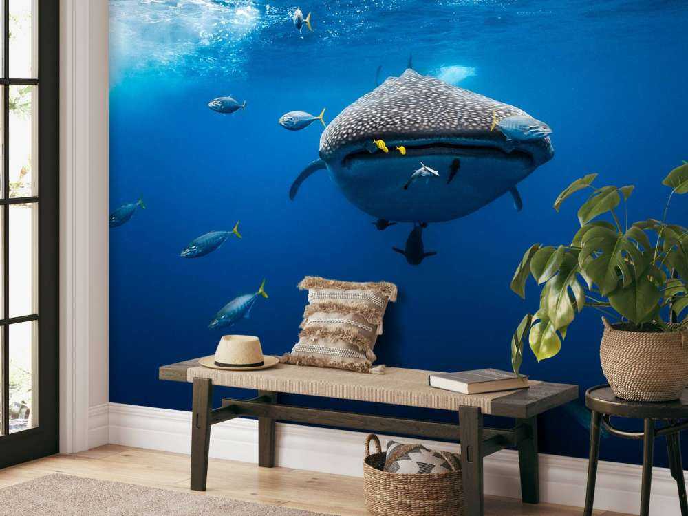 Whale shark escorted by a school of bonito