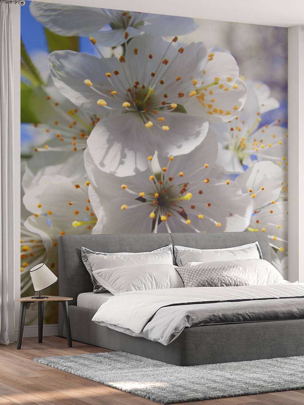 Nahaufnahme weiße Blüten