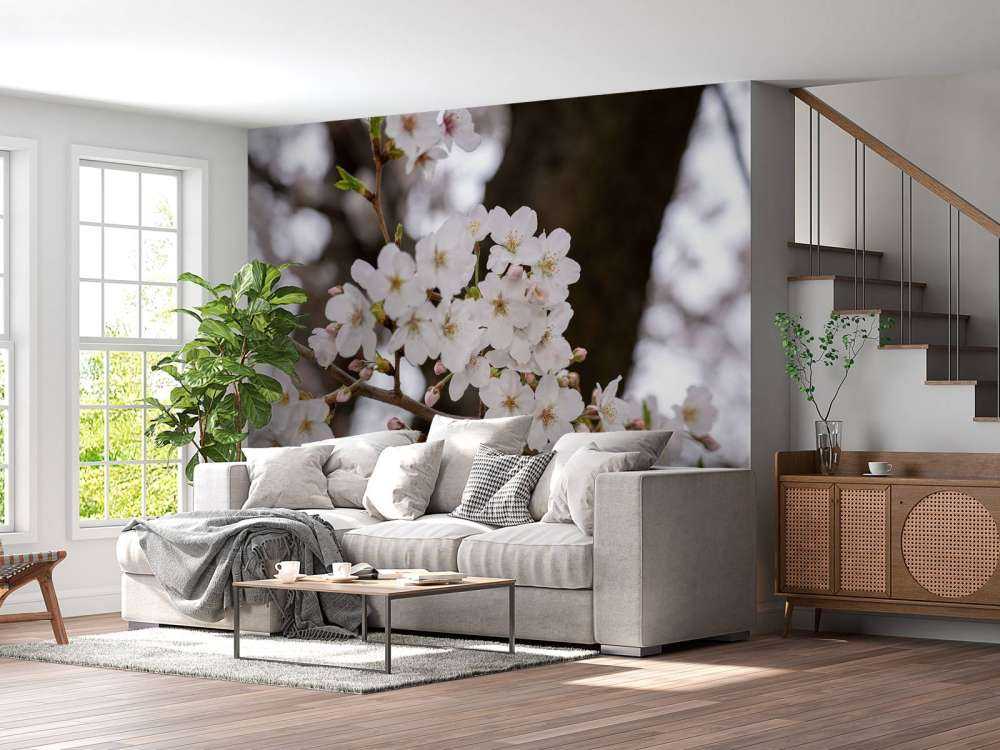 Weiße Blüten