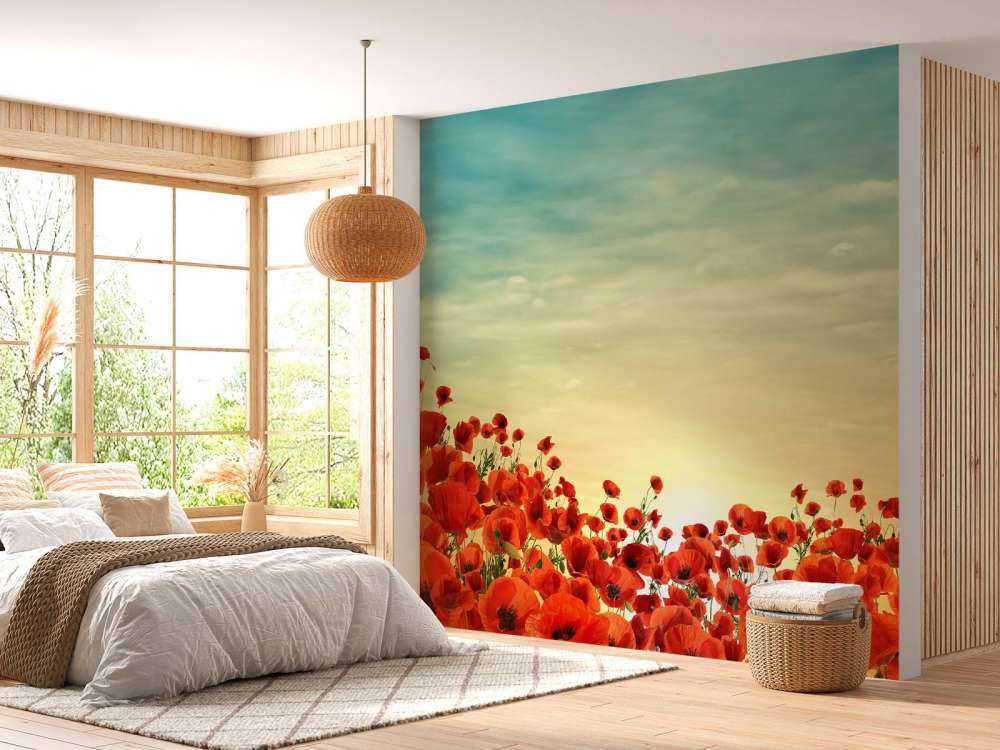 Mohnblumen mit Sonnenuntergang