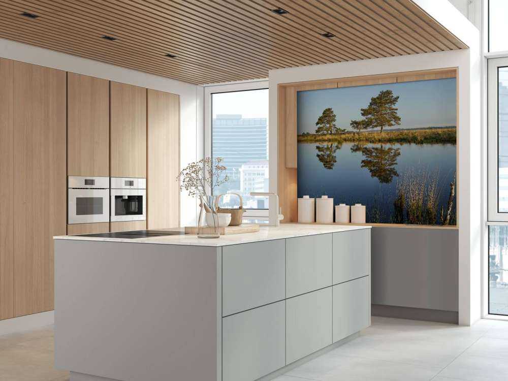 Waldland in der Heide