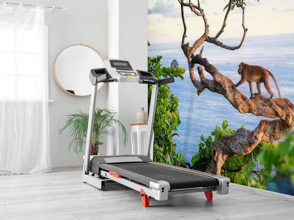Affe auf einem Baum