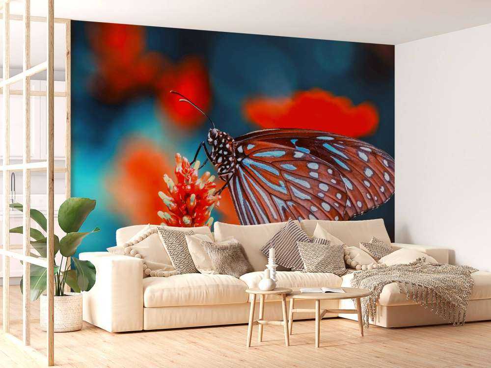Roter Schmetterling