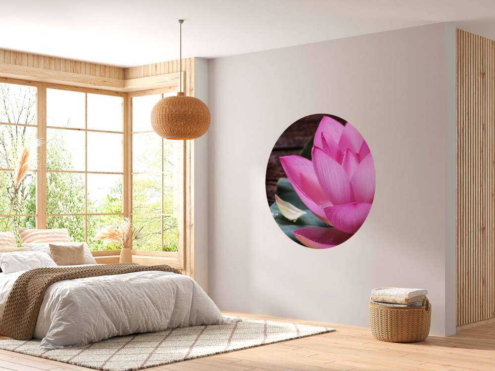 Nahaufnahme von rosa Lotus