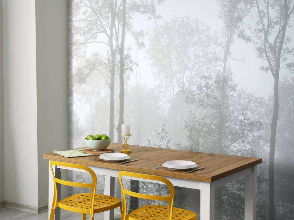 Dichter Nebel in Wald
