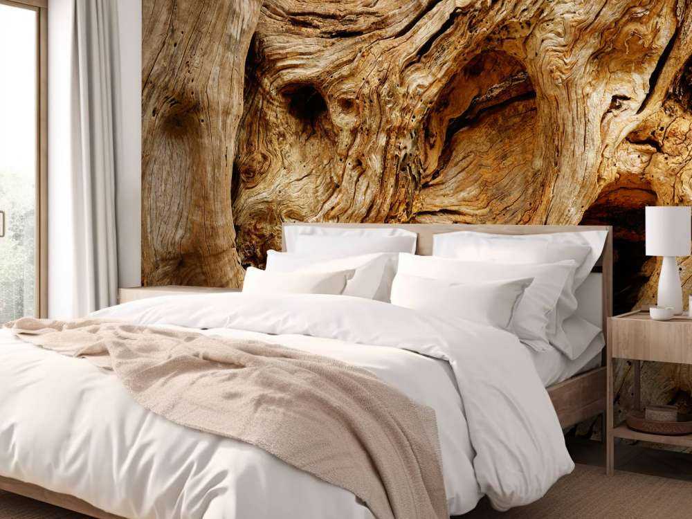 Nahaufnahme alter Baum