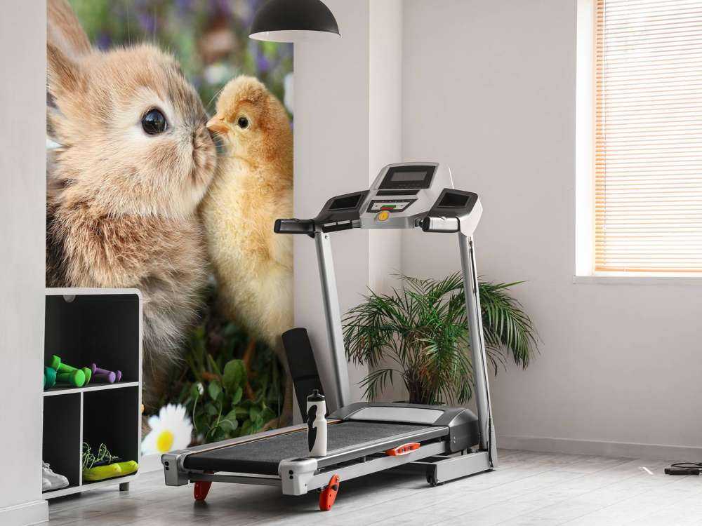 Kaninchen und Küken