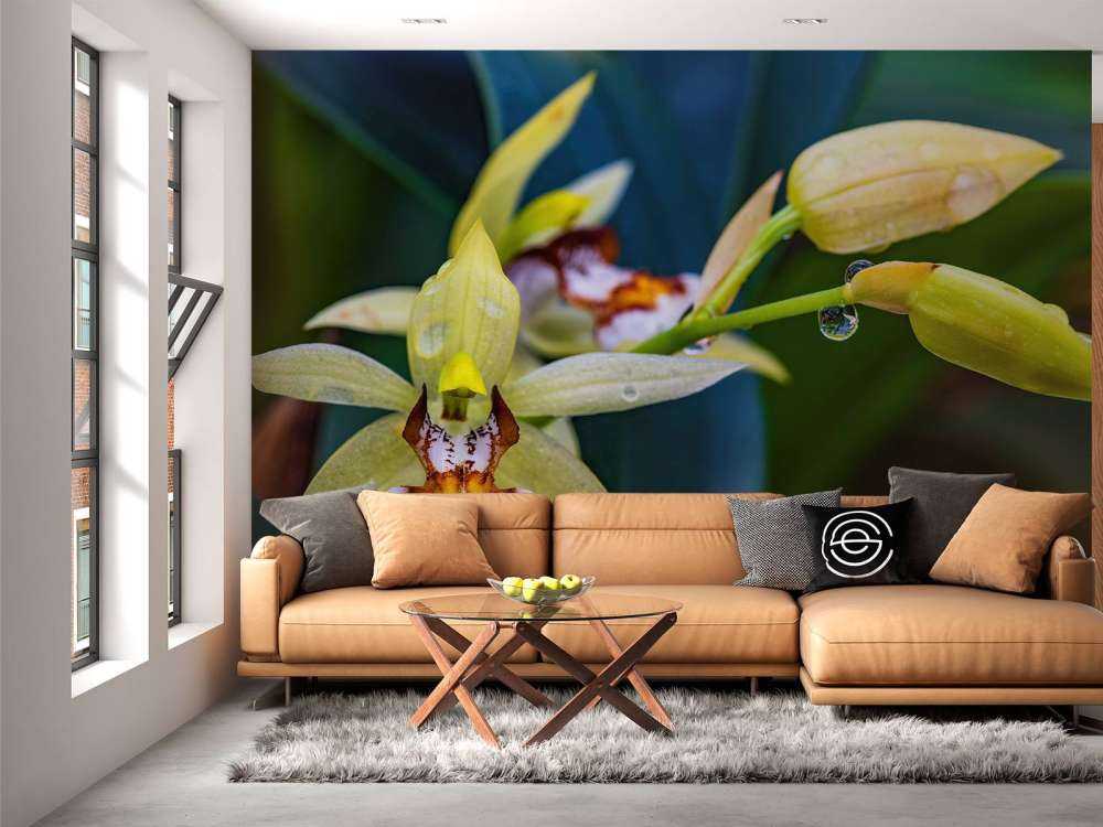 Wilde gelbe Orchidee