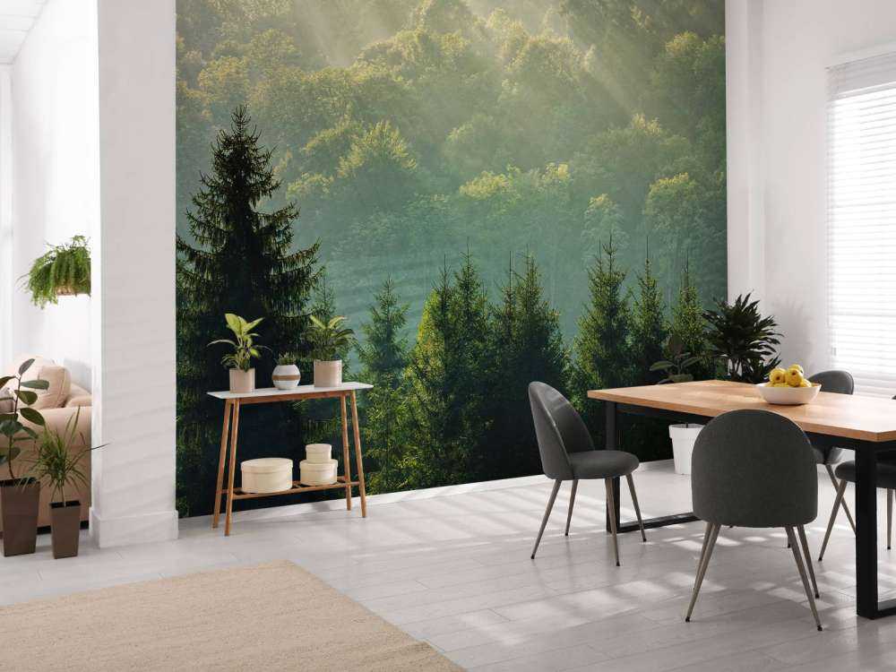 Sonnenstrahlen über dem Wald