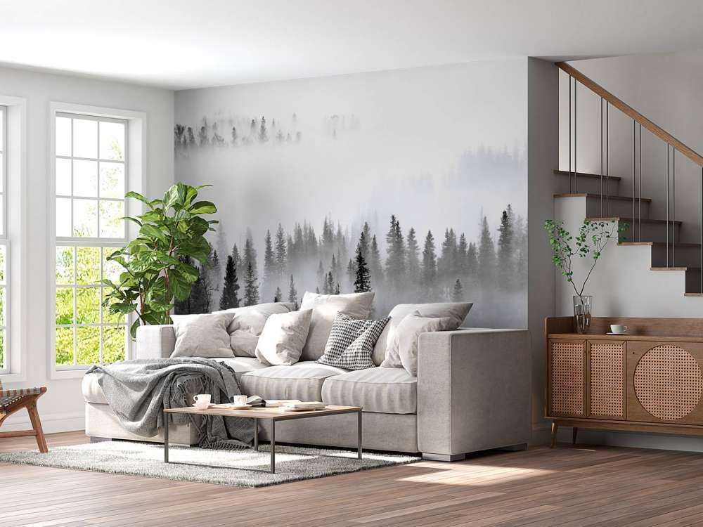 Foggy Forest - 1x