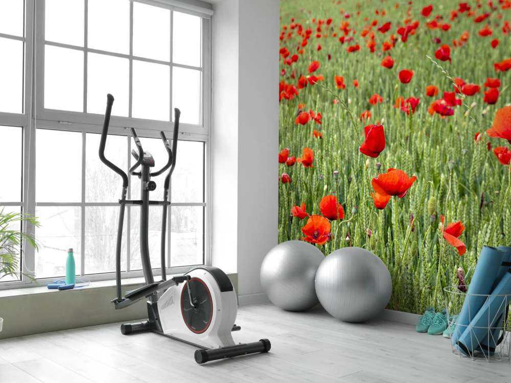 Rote Mohnblumen Feld